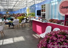 En niet te vergeten, Scoop. Danziger heeft dit concept bij de Intratuin staan en volgens Ayala is het concept en de samenwerking met deze retailer een groot succes. “Het eerste weekend dat het er stond was direct 60% uitverkocht.” Het ‘aankleden’ van de plant werkt echt.